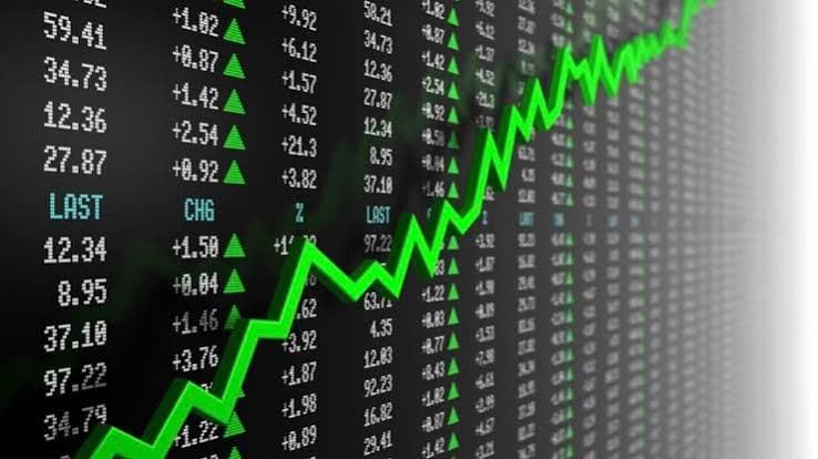 Person reviewing their investment portfolio